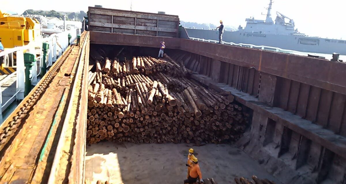 Timber Transport in Southern Mindanao